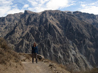 Colca Canyon - Condor viewpoint