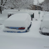 Blizzard TwentyTen - DSC08572.JPG