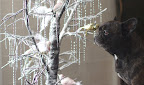 Sharkey, this is a real tree branch covered with glitter and decorated with shiny icicles and feathered birds.
