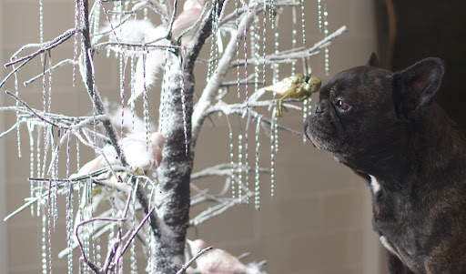 Sharkey, this is a real tree branch covered with glitter and decorated with shiny icicles and feathered birds.