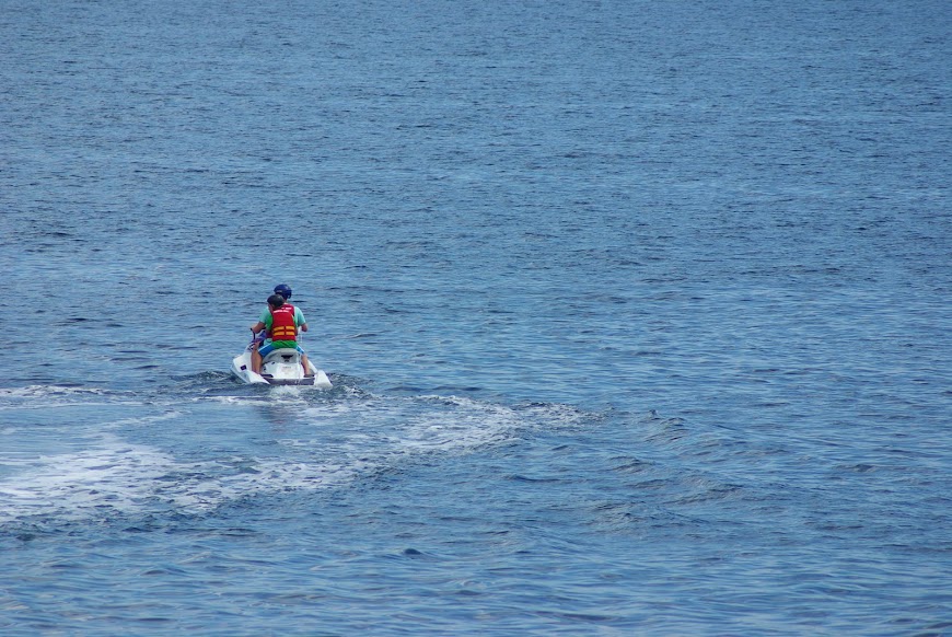 IMGP4525.JPG