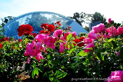 [DSC_0250%255B9%255D.jpg]