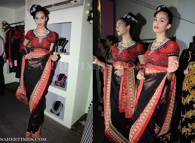 [Azeem_Khan_Designer_Shimmer_Sari%255B3%255D.jpg]