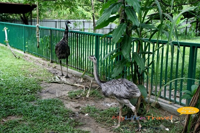 Langkawi Langkawi