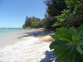 SAM_1308.JPG