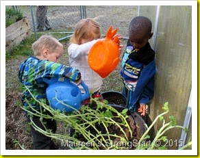 IMG_4989 IMG_4989