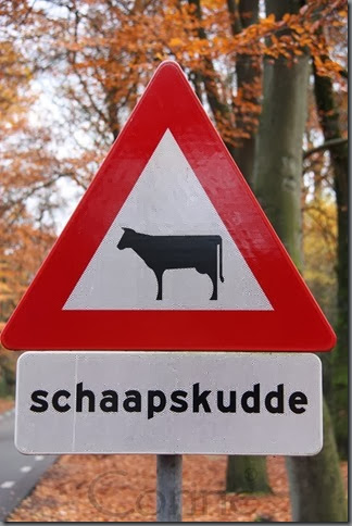 koeschaap koeschaap
