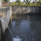 DSC_8203.jpg