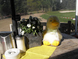  Paaswedstrijd 2011