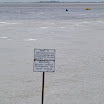IMGP0695.JPG