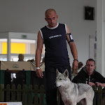 Berry výstava Nitra jún 12.jpg