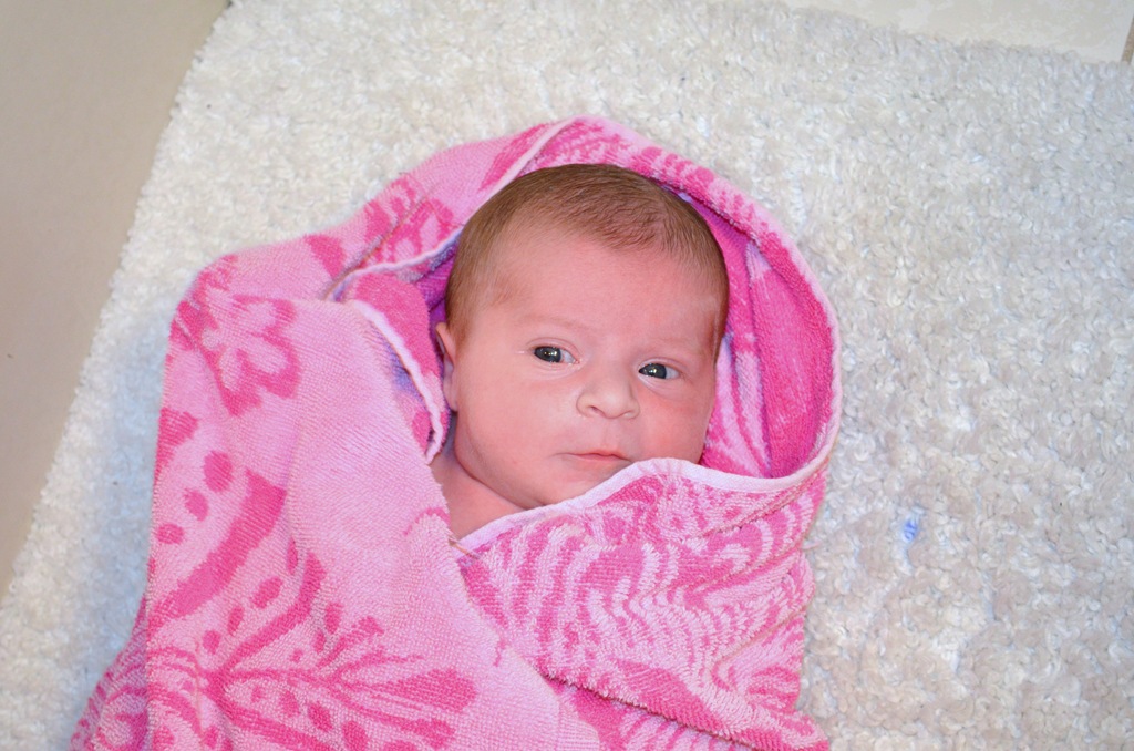 [DSC_3845%255B4%255D.jpg]