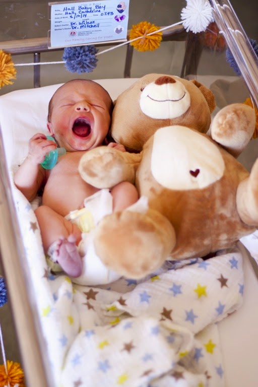 [carterbear2%255B4%255D.jpg]