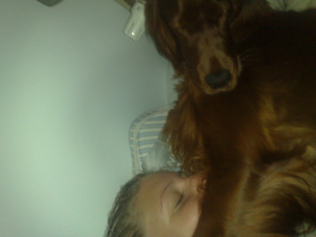 [Bild347%255B3%255D.jpg]