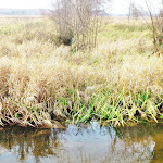 2012_11_25_Niedziela_z_ciekawostka_15.jpg