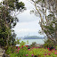 A Path Along The Coastline At Rangitoto - Auckland, New Zealand