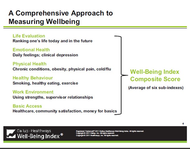[Gallup%2520Wellbeing%2520measures%255B7%255D.jpg]