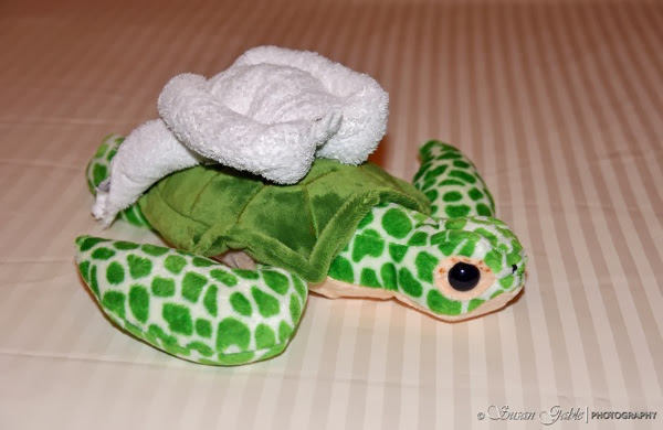 A new towel animal friend