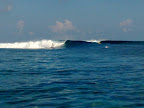 Sufing Maldives