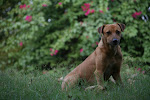 Delhi, India 049.JPG