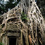 Cambodia - Angkor Wat Cambodia - Angkor Wat