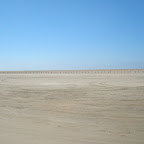 DSC05995.JPG