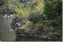 10.St. Stephen's Green - Dubln 10.St. Stephen's Green - Dubln