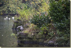 10.St. Stephen's Green - Dubln