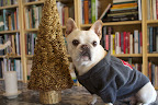 Did you see this tree made of gilded pine cones?  It's exquisite!
