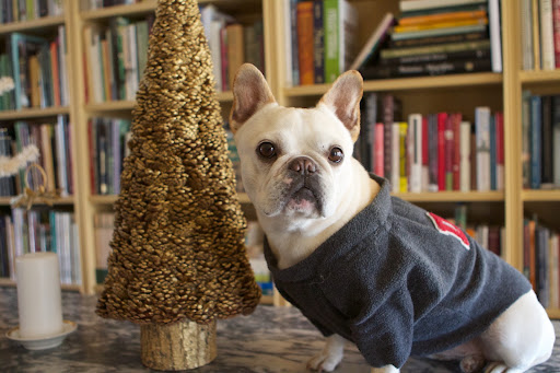 Did you see this tree made of gilded pine cones?  It's exquisite!