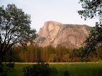 Half Dome from Sentinel Meadow