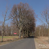 dsc07497.jpg