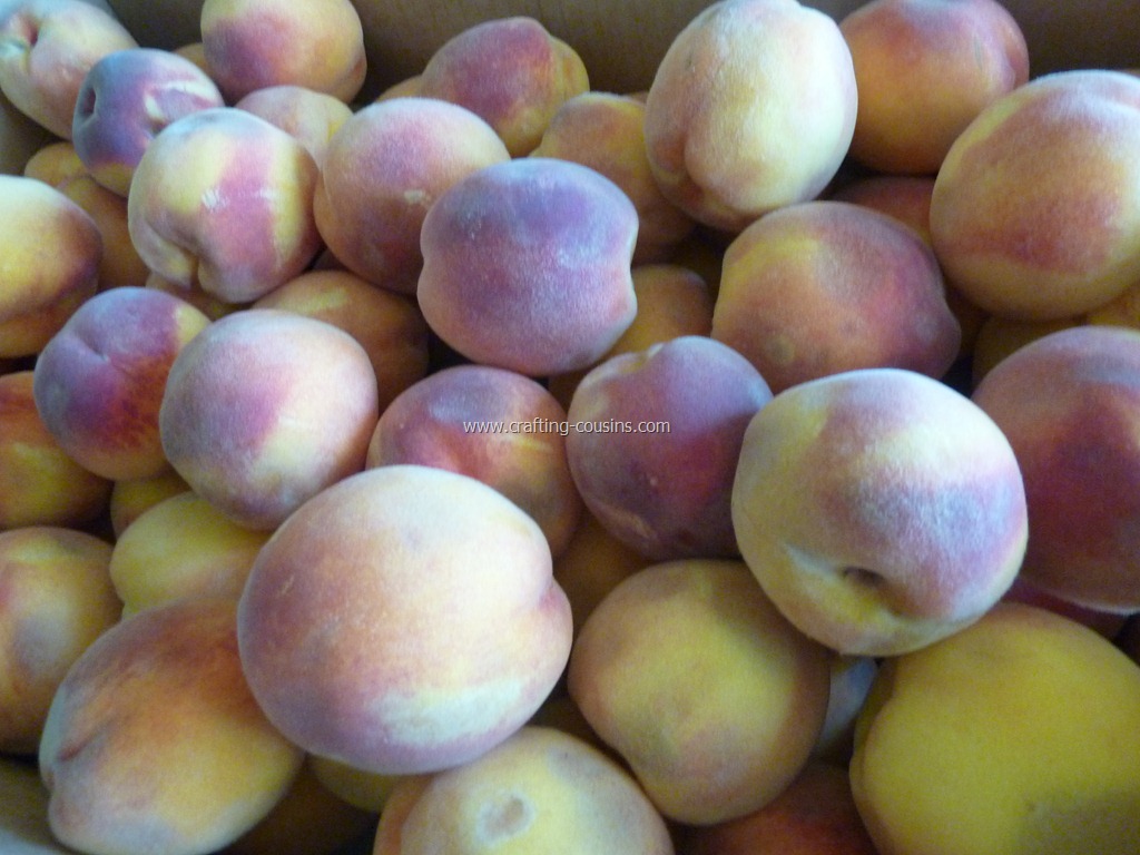 [Home-canned-peaches-by-the-Crafty-Co%255B20%255D.jpg]