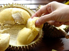 Durian-Fruit-Thai