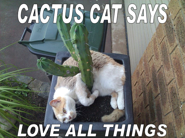 [cactus%2520cat%2520zero%2520onecuckoosnest%2520dot%2520com%255B5%255D.png]