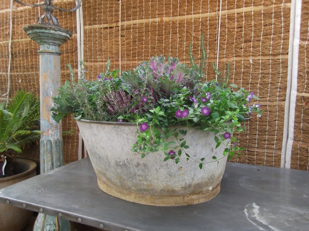 [DSCF1726%255B4%255D.jpg]