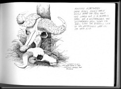 October 19, 2012 skulls sketch