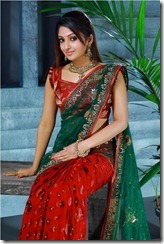 Beautiful Mithra Kurian in Saree Photo Shoot Stills