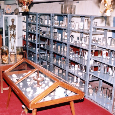 Zoo-Mus.jpg