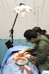 Trauma Surgery