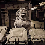IMG_8704.jpg
