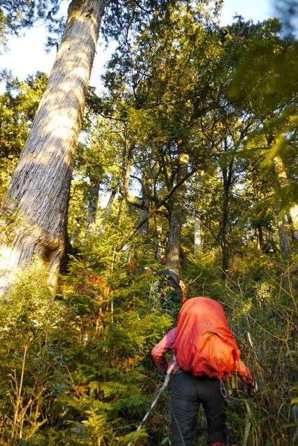 2013_0130-0131 復興雙障-嘎拉賀上唐穗山連走稜山_171 2013_0130-0131 復興雙障-嘎拉賀上唐穗山連走稜山_171