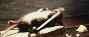 image001