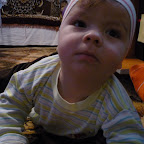 Alexia