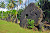 The Giant Stone Coins of Yap