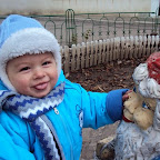Andrei Stefan