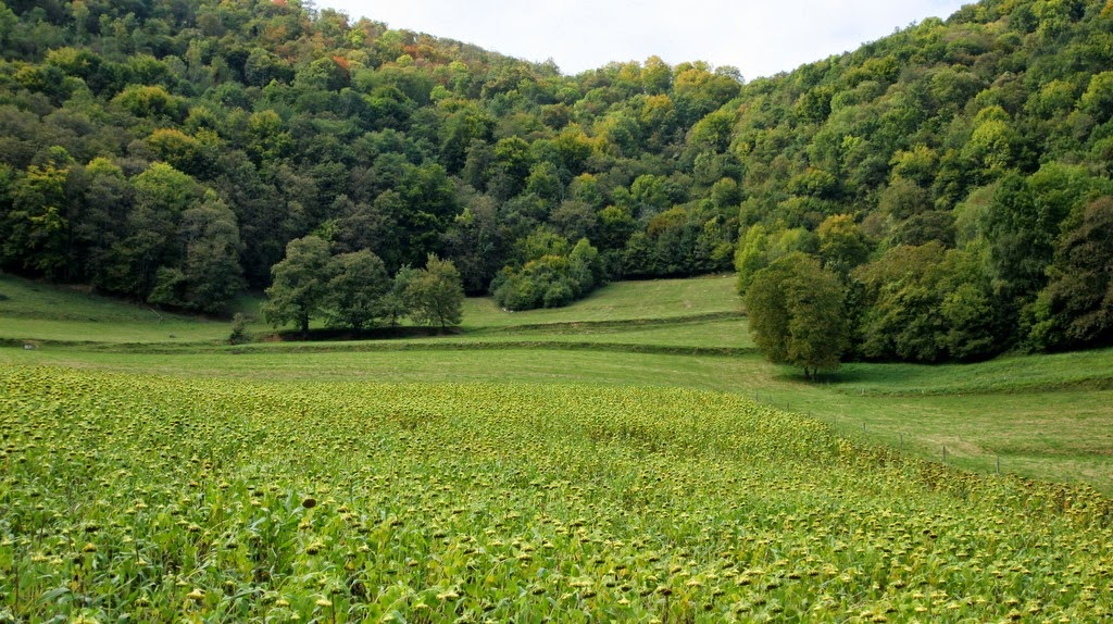 [IMG_1340%255B3%255D.jpg]