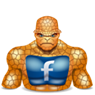 1324071939_facebook_thing
