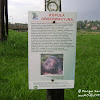 dsc00960.jpg