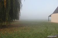 IMG_3904.JPG Photo